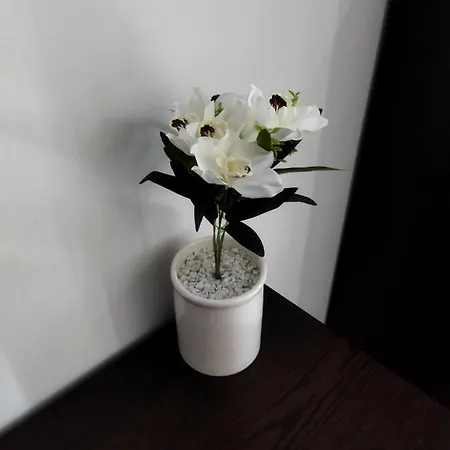 Διαμέρισμα Duplex Penthouse With Swimming Pool