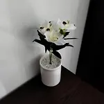 Apartament Duplex Penthouse With Swimming Pool